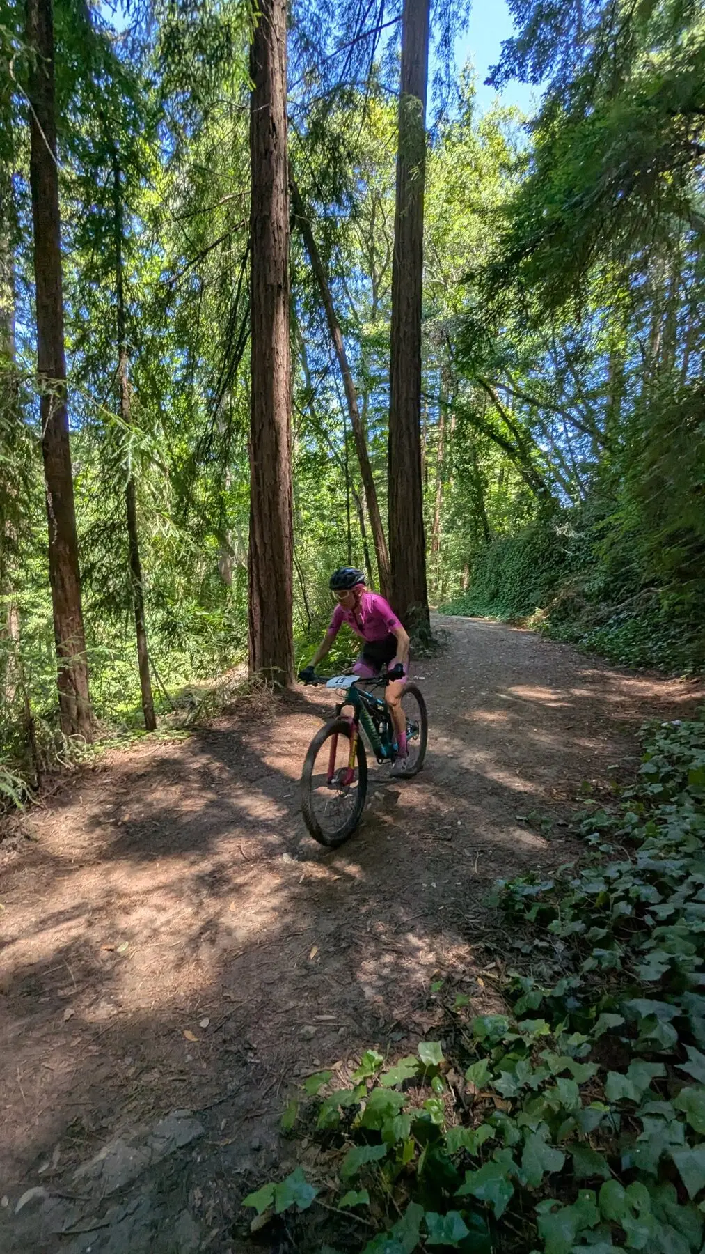 Mountain biker riding a forest trail